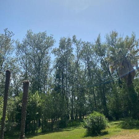 Chalet En Pleine Nature La Roquette-sur-Siagne Exteriér fotografie