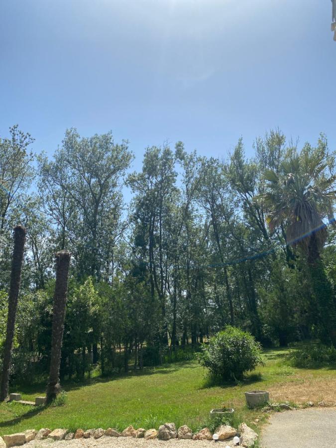 Chalet En Pleine Nature La Roquette-sur-Siagne Exteriér fotografie